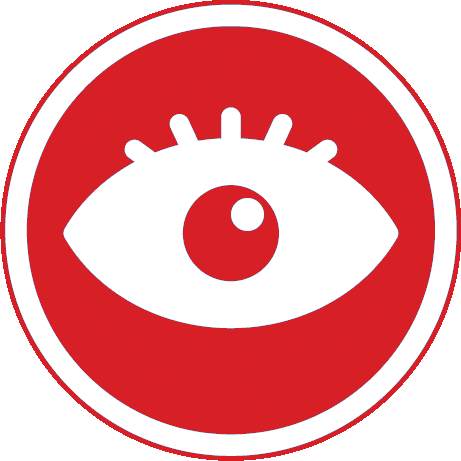 vision